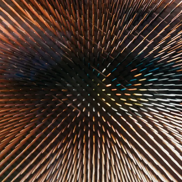 Kunstwerk von Maxim Wakultschik aus der Ausstellung – Beyond the Surface im Ausstellungsbereich des Red Bull Hangar-7