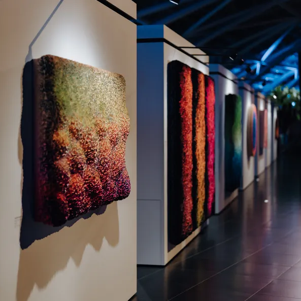 Kunstausstellung im Red Bull Hangar-7, Architektur, Bilder