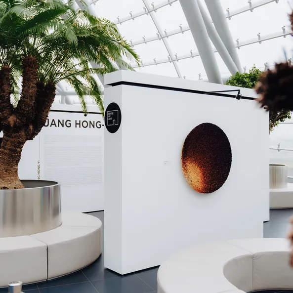 Kunstausstellung im Red Bull Hangar-7, Architektur, Bilder